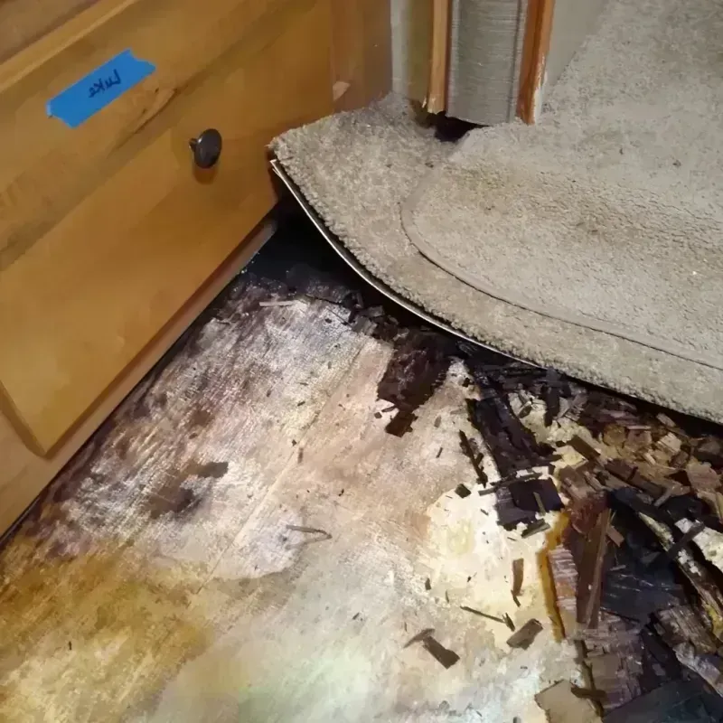 Wood Floor Water Damage in San Tan Valley, AZ